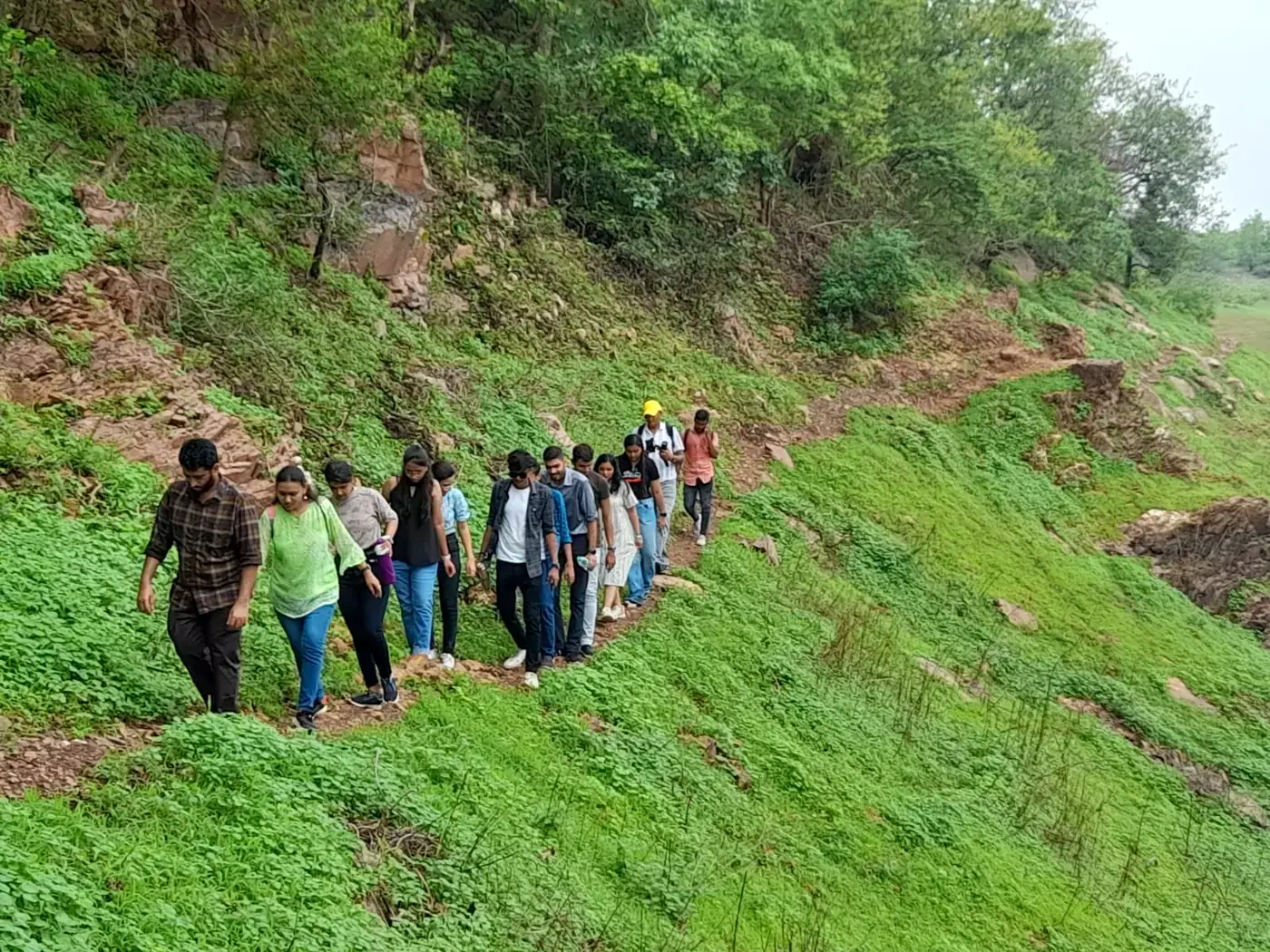 Guided nature walk experience
